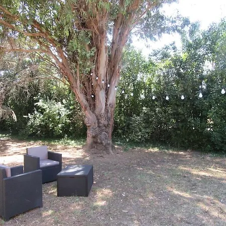 Maison Independante Sur Notre Propriete Vakantiehuis Hyères
