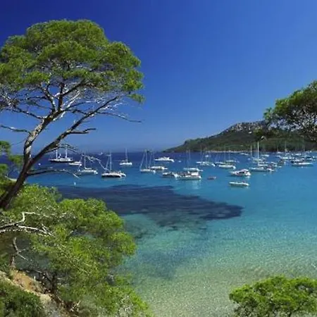 Holiday home Maison Independante Sur Notre Propriete Hyeres